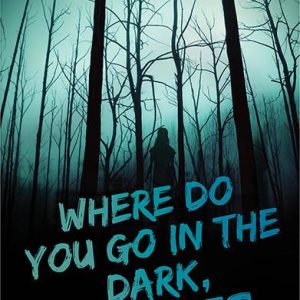 Where Do You Go in the Dark, My Love?